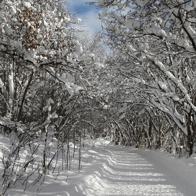 Landhaus Bergmoment - Adults Only エルマウ エクステリア 写真