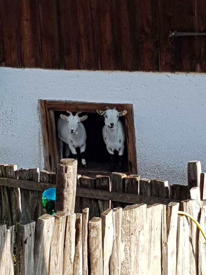 Landhaus Bergmoment - Adults Only エルマウ エクステリア 写真
