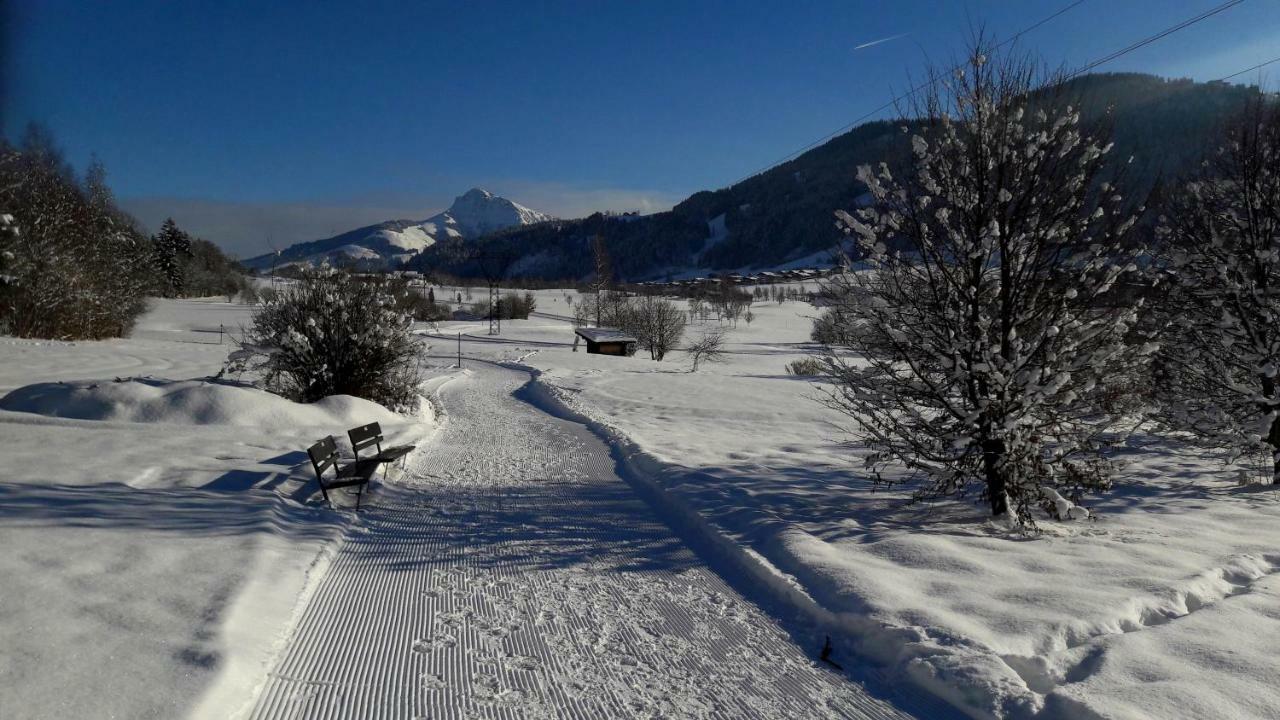 Landhaus Bergmoment - Adults Only エルマウ エクステリア 写真