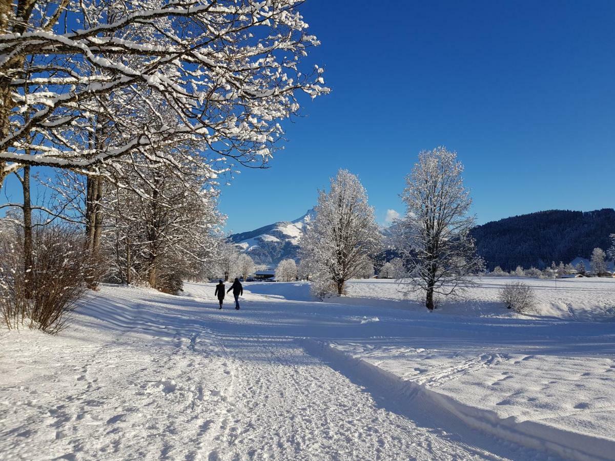 Landhaus Bergmoment - Adults Only エルマウ エクステリア 写真